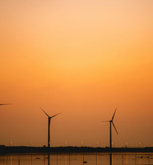 pexels-chillmoments-31623795