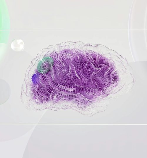 pexels-googledeepmind-17483868