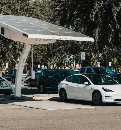 pexels-kindelmedia-9800029