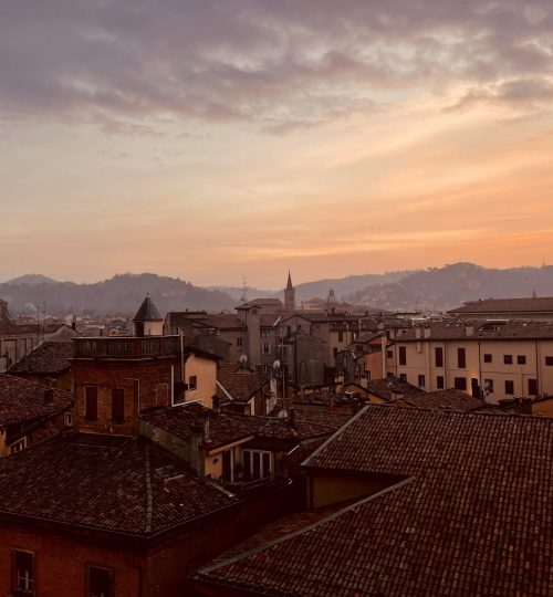 pexels-martinaamaro-14966967