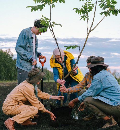 pexels-shvetsa-5029929